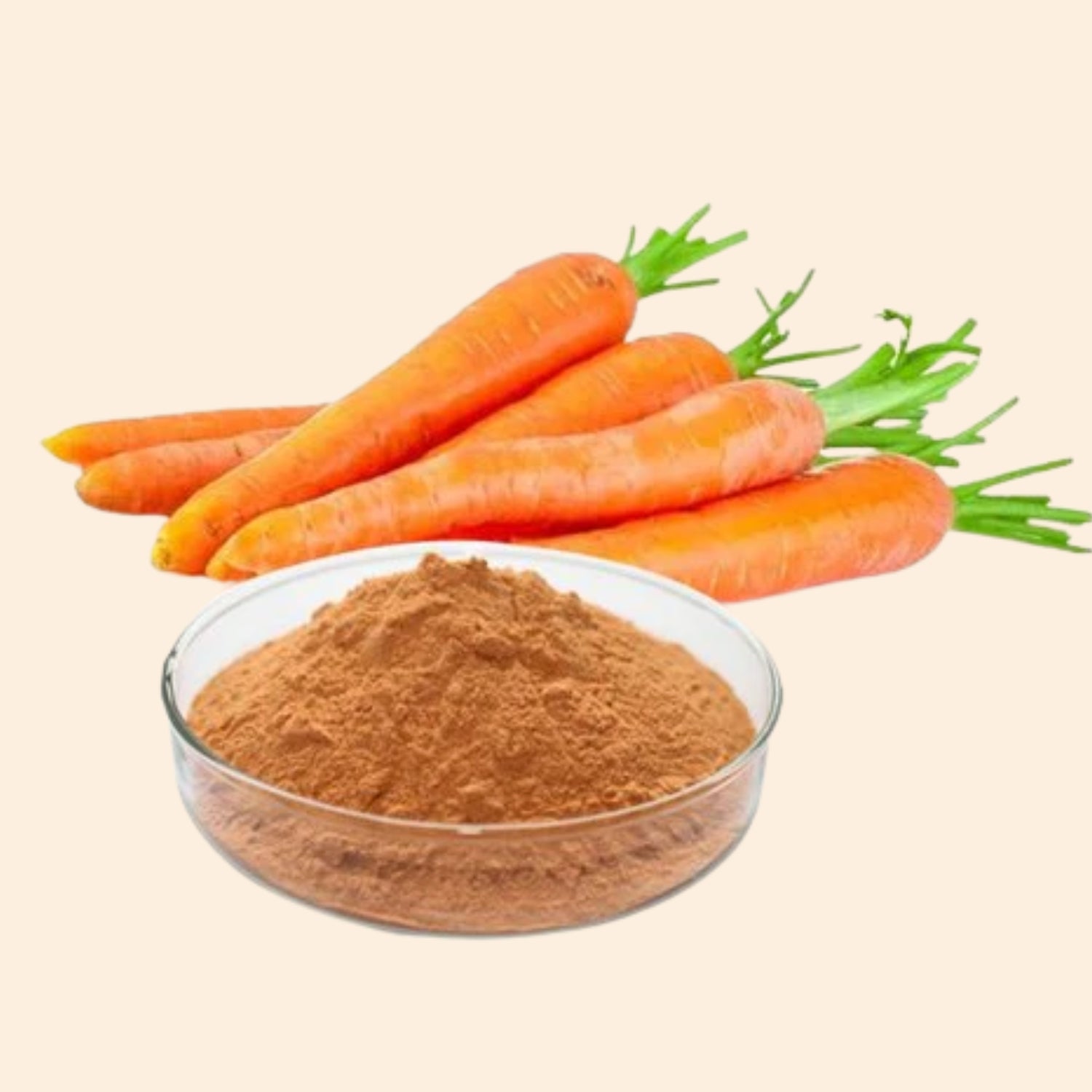 Shoprythm Fruit & Vegetable Powders Carrot Powder Shoprythm Fruit & Vegetable Powders Carrot Powder
